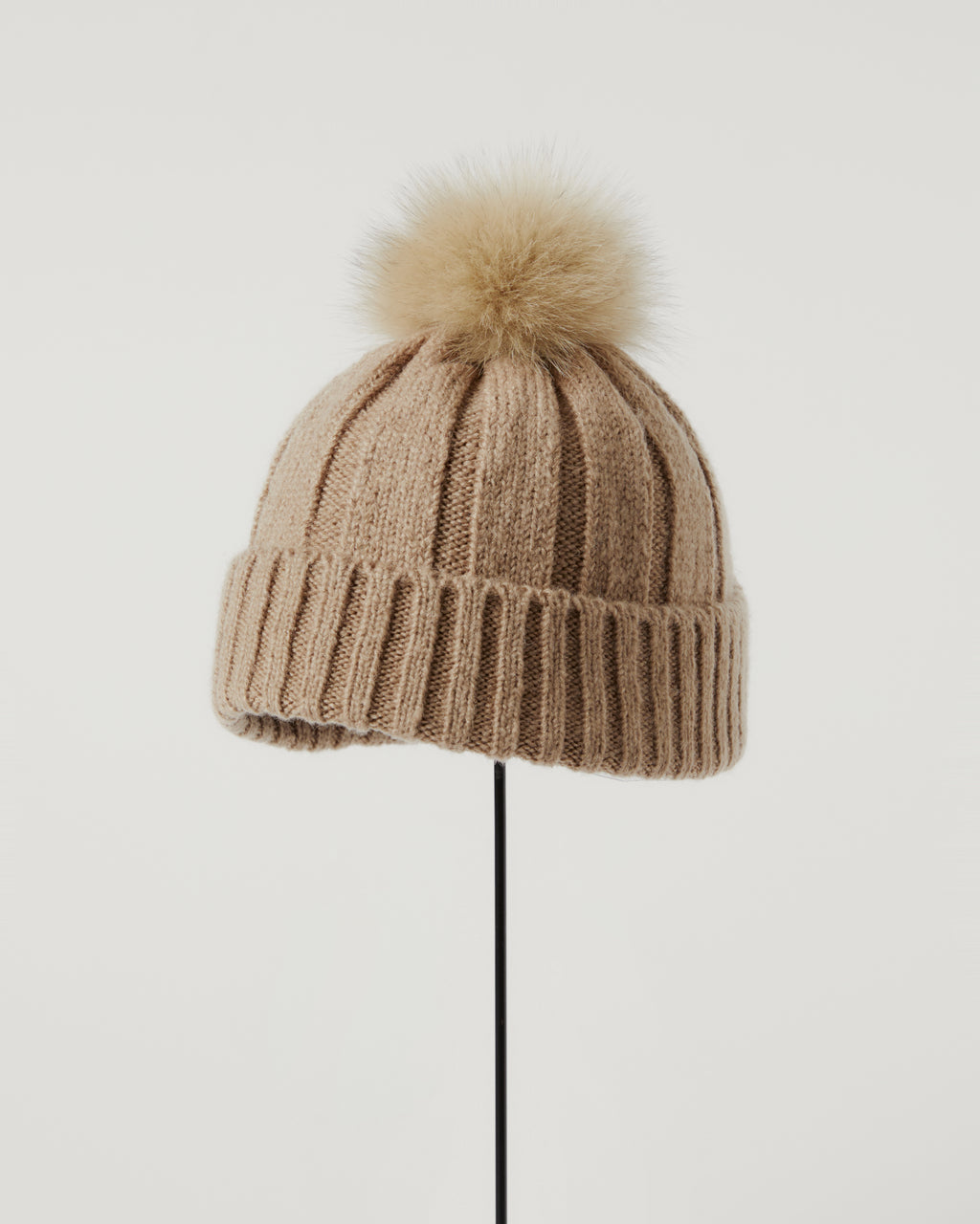 アメリアビーニー