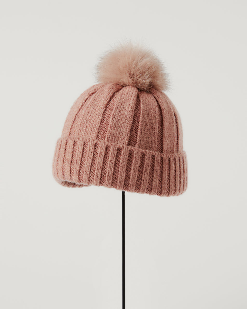 アメリアビーニー